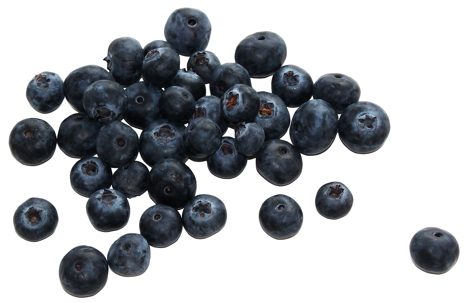 Fresh Blueberries Isolated PNG
