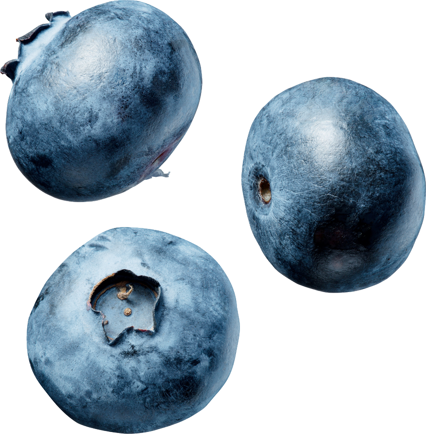 Fresh Blueberries Isolated PNG