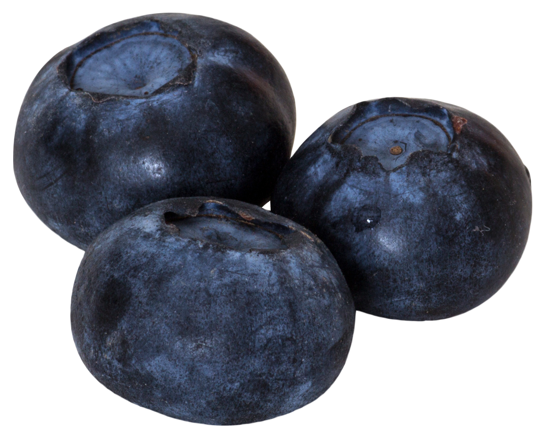 Download Fresh Blueberries Isolated | Wallpapers.com