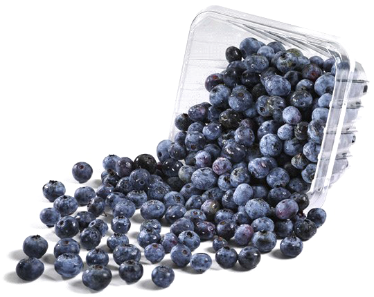 Fresh Blueberries Spilling From Container PNG
