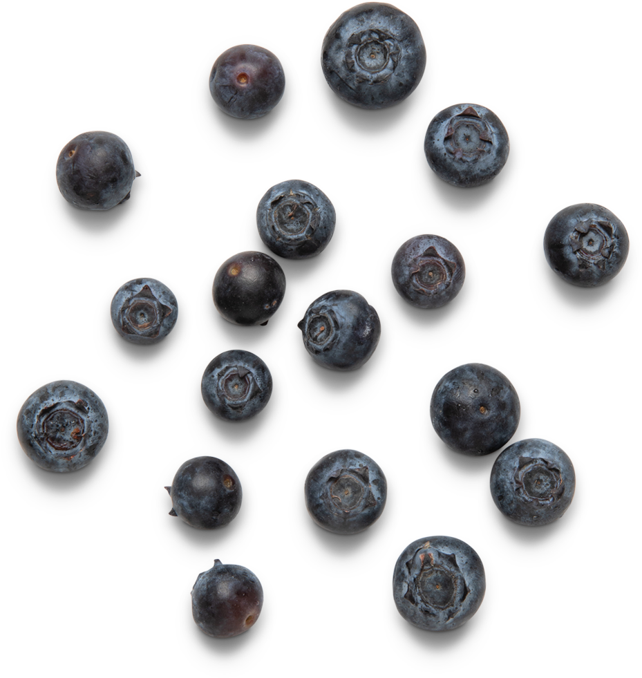 Fresh Blueberries Top View PNG