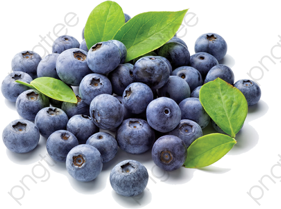 Fresh Blueberries With Leaves.png PNG