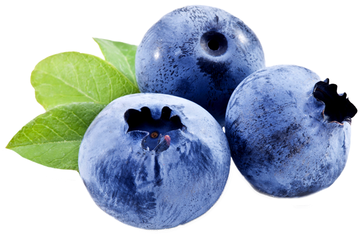 Fresh Blueberries With Leaves Skin Care Ingredients PNG