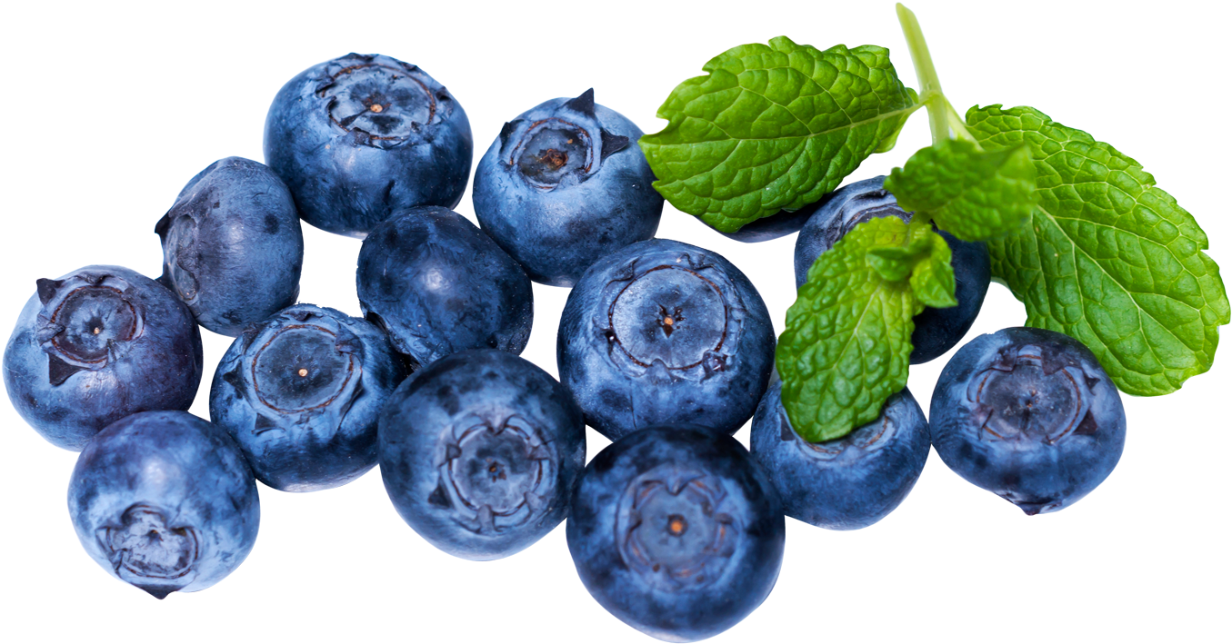 Fresh Blueberries With Mint Leaves.png PNG