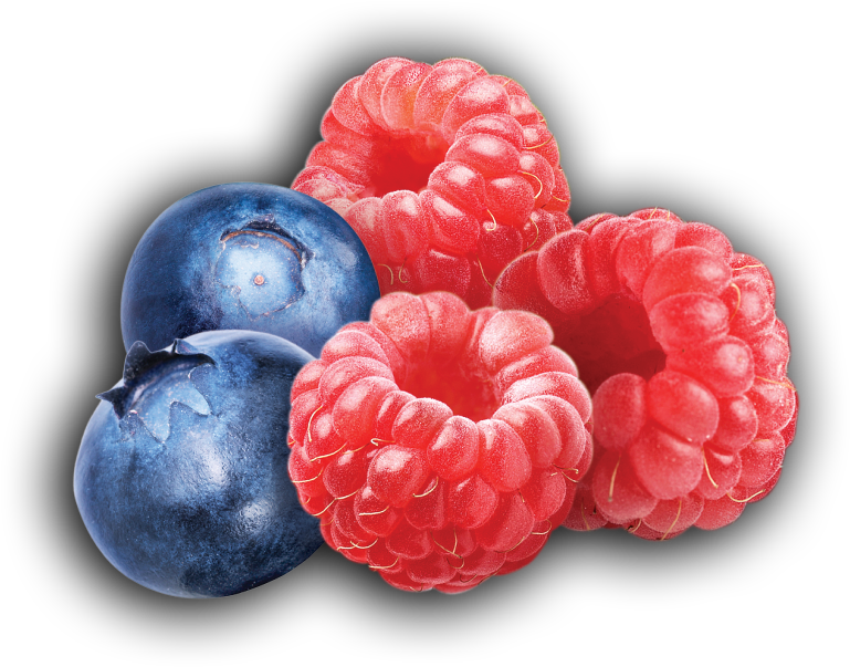 Fresh Blueberriesand Raspberries PNG