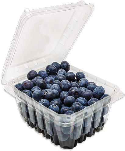 Fresh Blueberriesin Plastic Container PNG