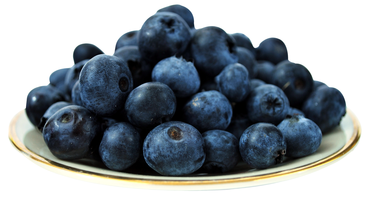 Fresh Blueberrieson Plate PNG