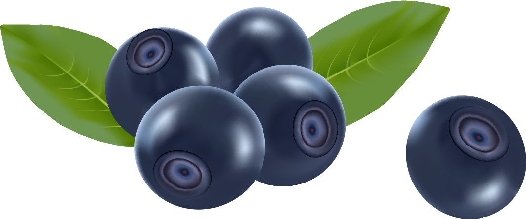 Fresh Blueberrieswith Leaves PNG
