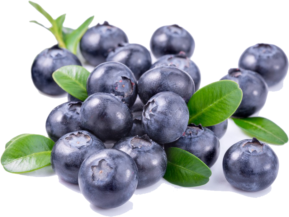 Fresh Blueberrieswith Leaves Isolated PNG