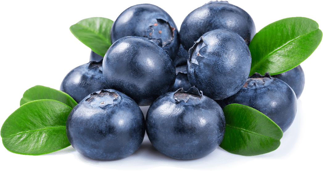 Fresh Blueberrieswith Leaves.png PNG