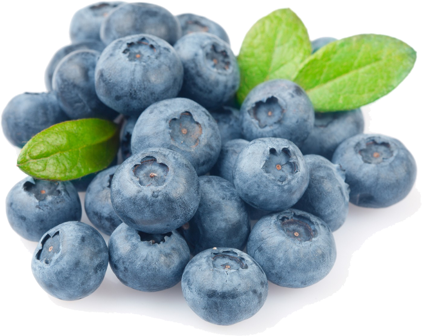 Fresh Blueberrieswith Leaves.png PNG