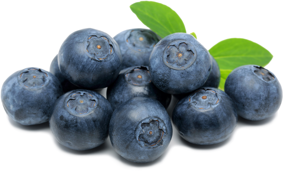 Fresh Blueberrieswith Leaves.png PNG