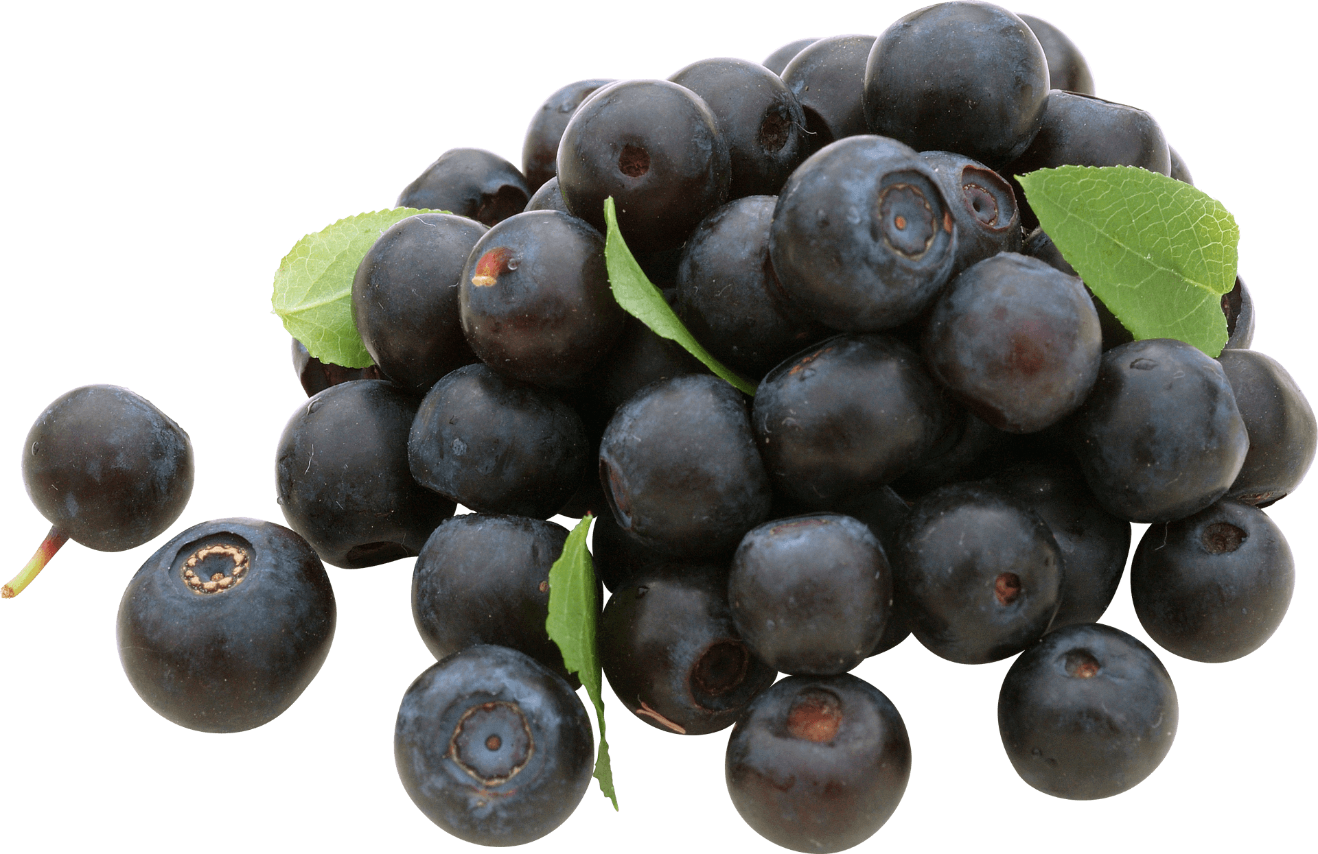 Fresh Blueberrieswith Leaves.png PNG