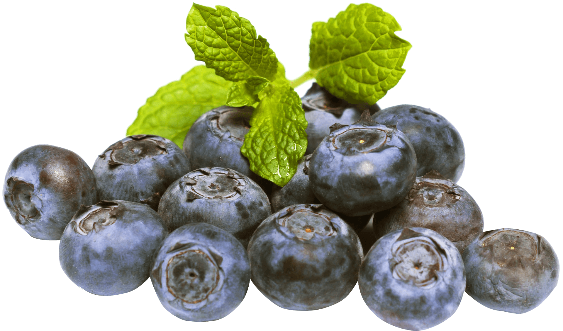 Fresh Blueberrieswith Mint Leaves PNG