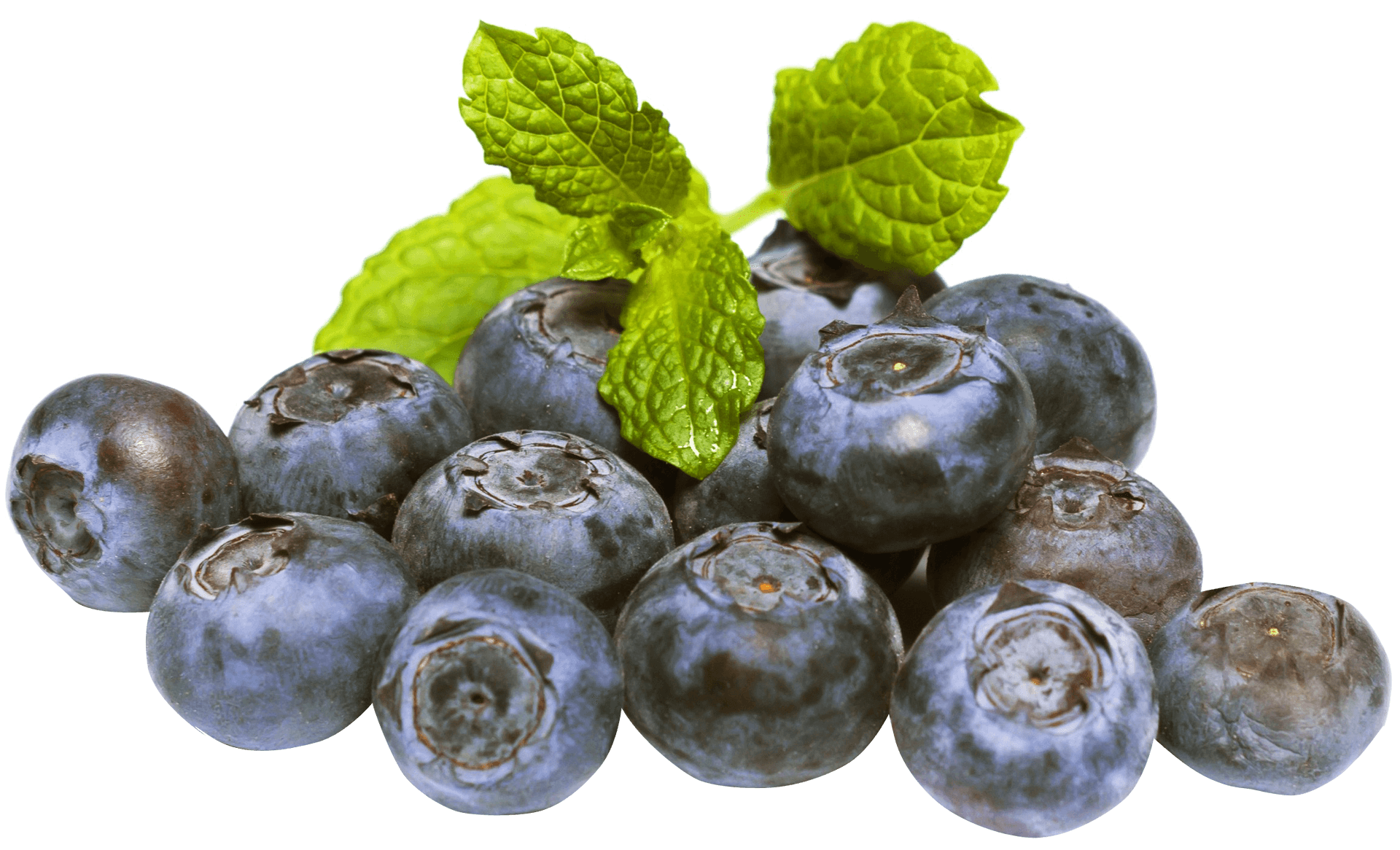 Fresh Blueberrieswith Mint Leaves PNG