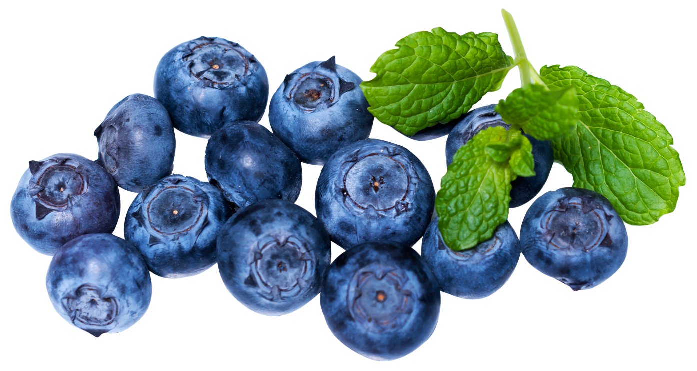 Fresh Blueberrieswith Mint Leaves PNG