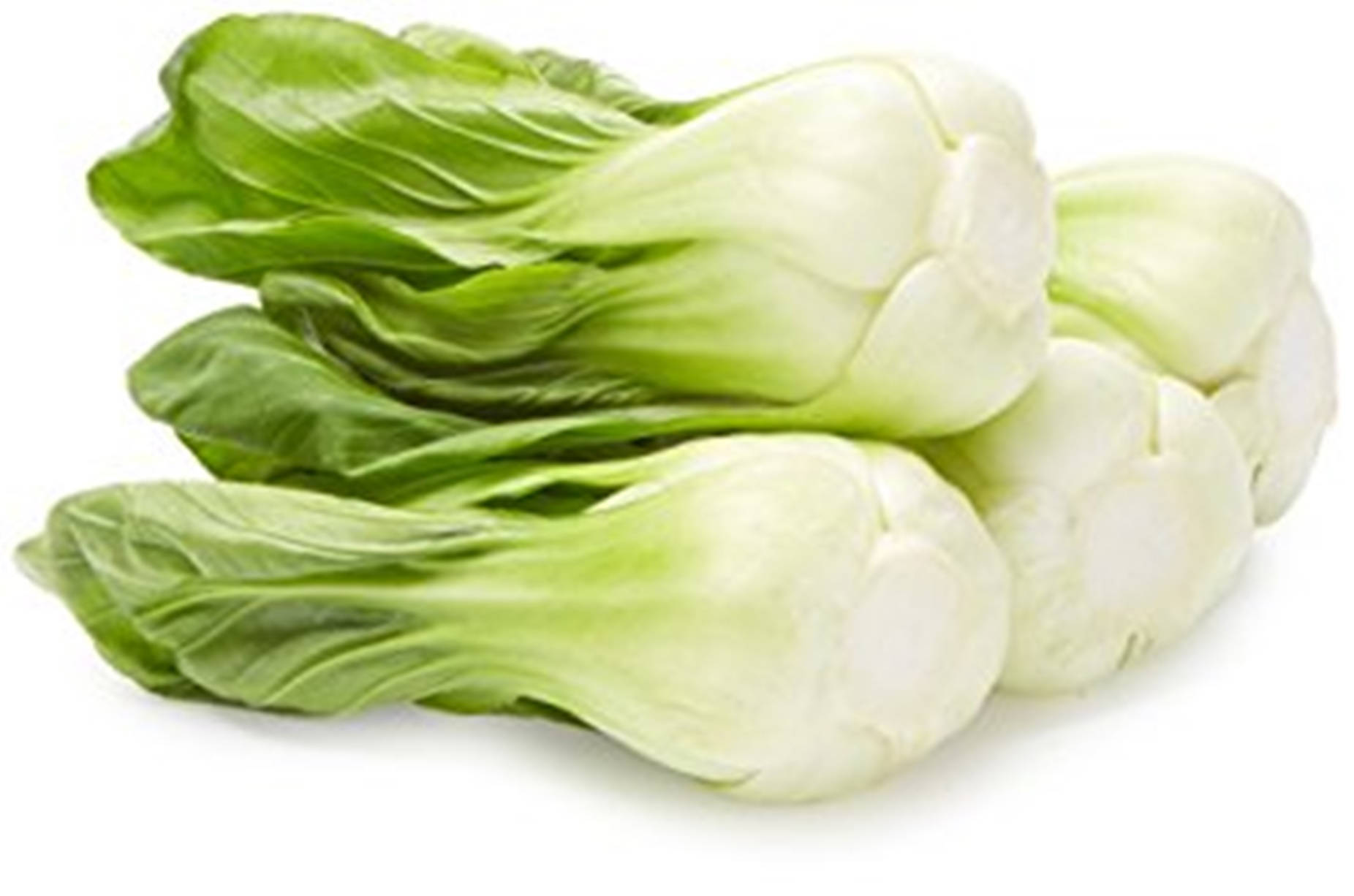 Fresh Bok Choy Chinese Cabbages Wallpaper