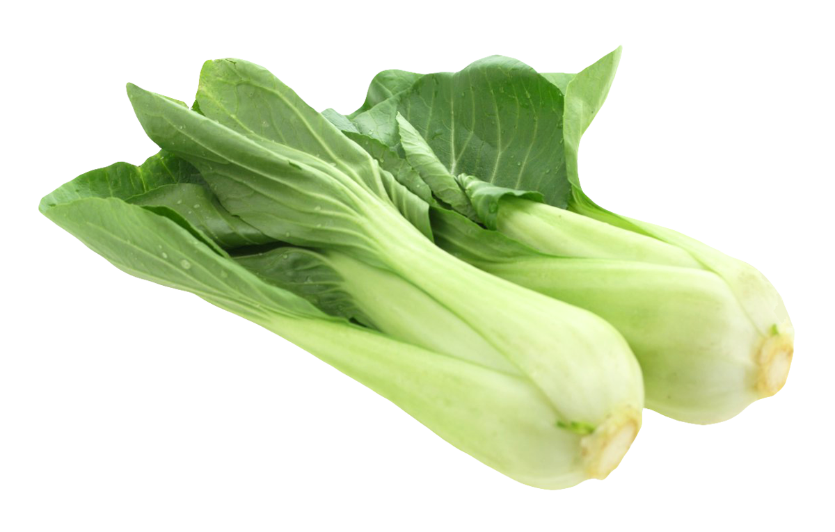 Fresh Bok Choy Vegetable PNG