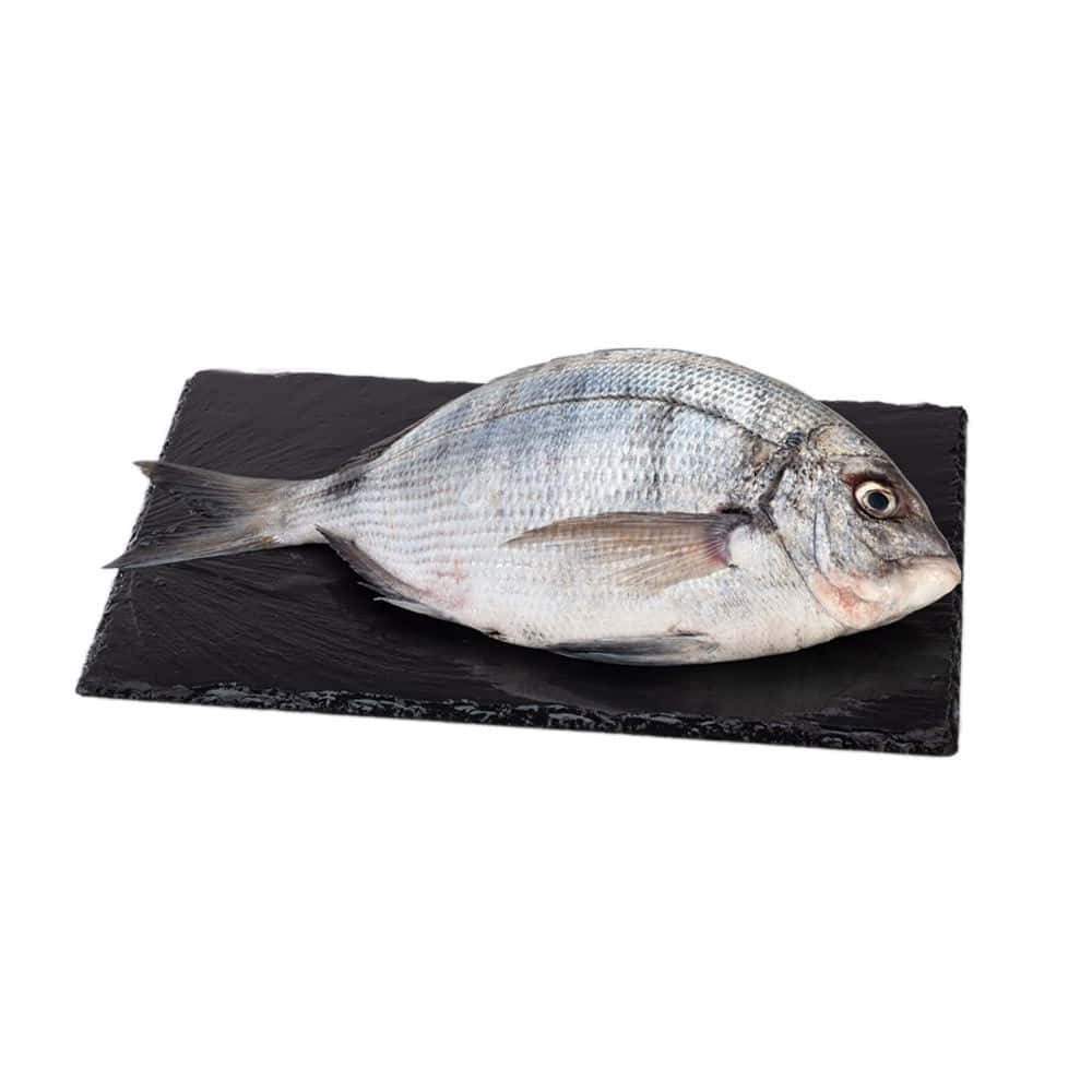 Fresh Bream Fishon Slate Wallpaper