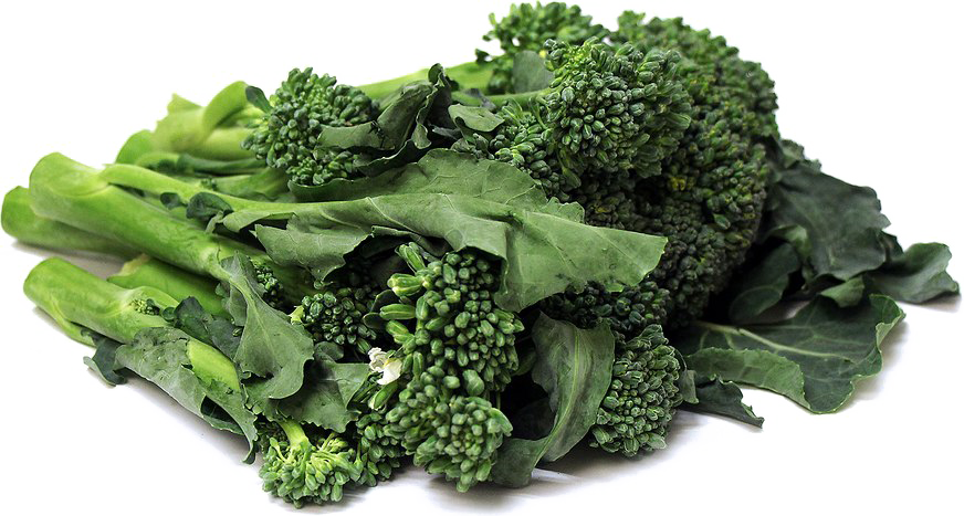 Fresh Broccoli Bunch Isolated PNG