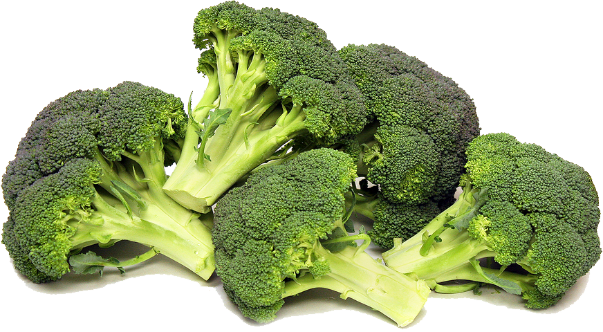 Fresh Broccoli Bunches.png PNG