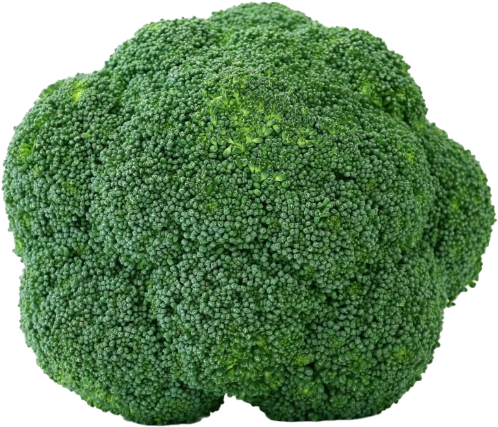 Fresh Broccoli Closeup PNG