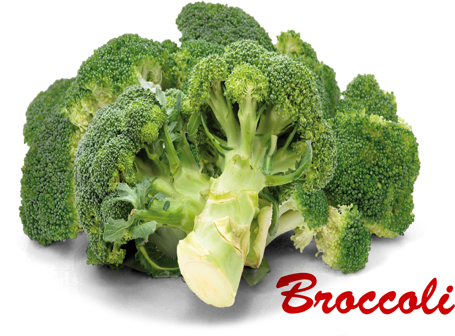 Fresh Broccoli Clusterwith Text PNG