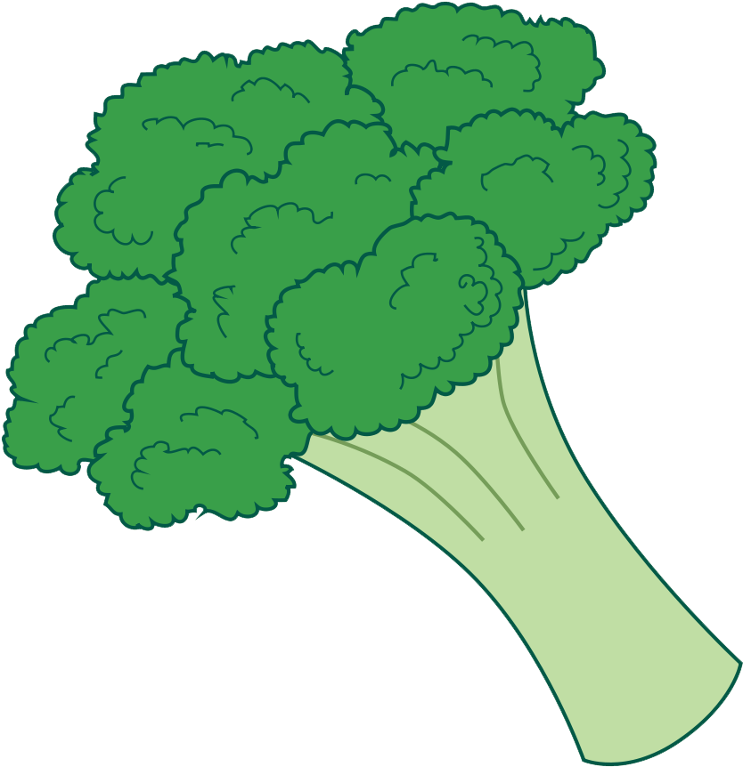 Fresh Broccoli Illustration PNG