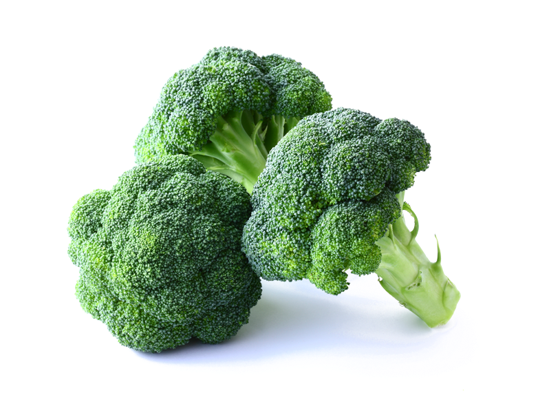 Fresh Broccoli Isolatedon Background PNG