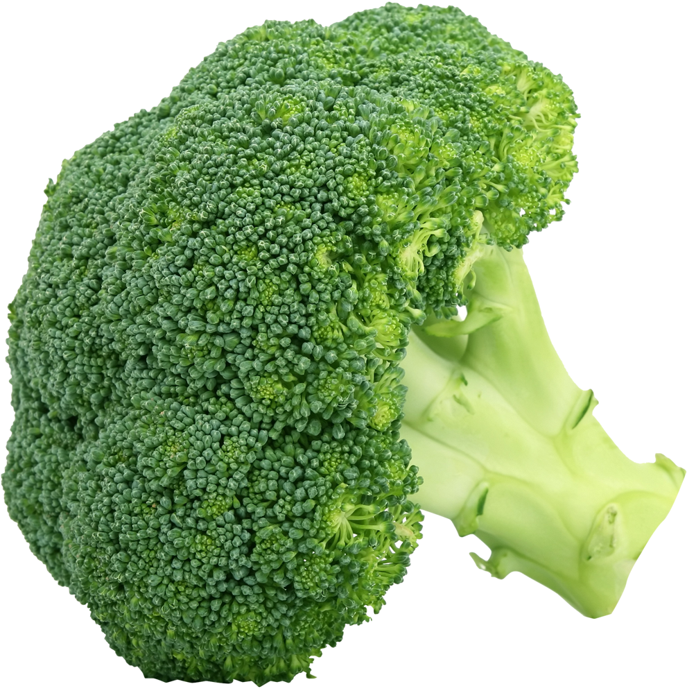 Fresh Broccoli Isolatedon Grey PNG