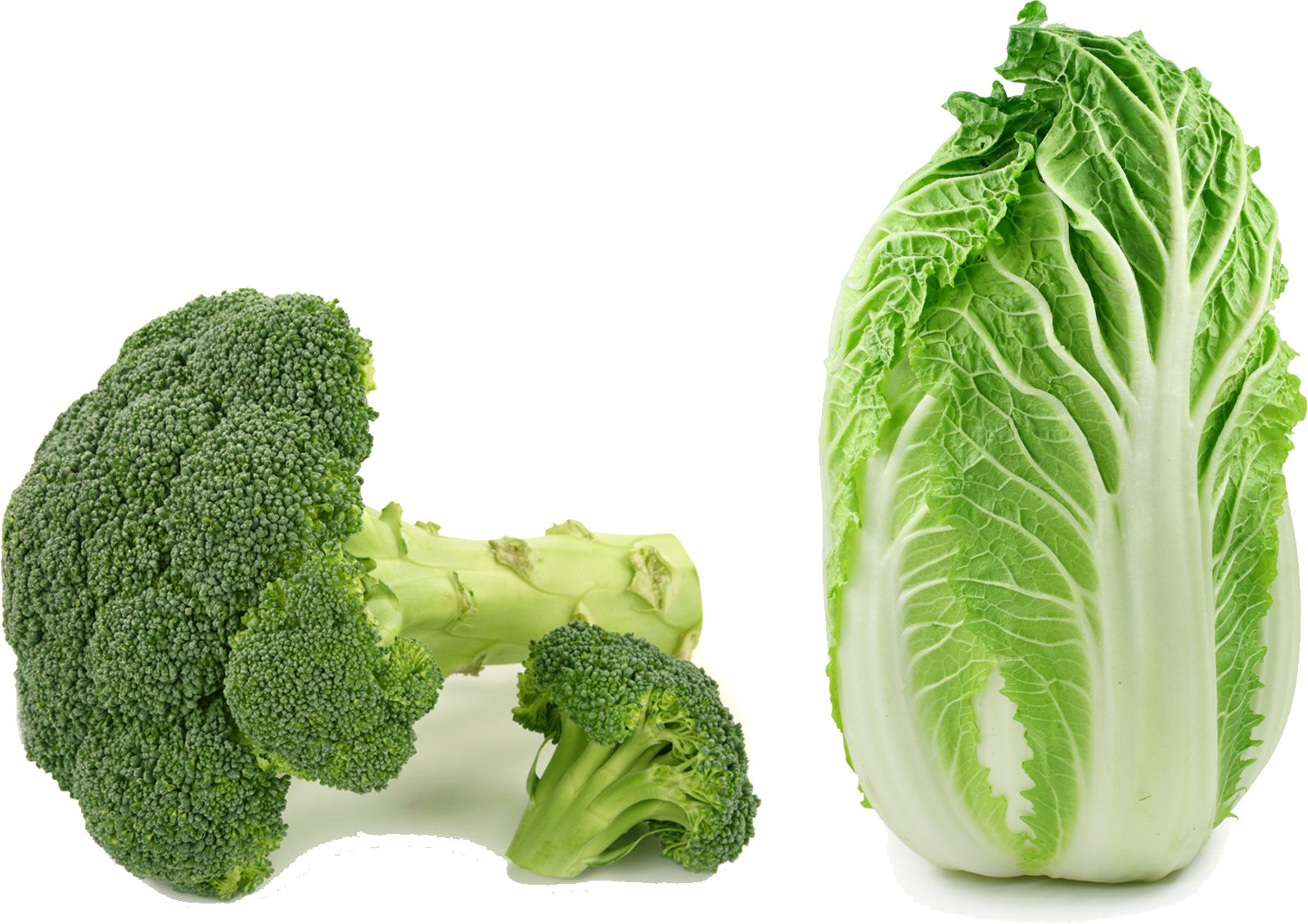 Fresh Broccoliand Cabbage PNG
