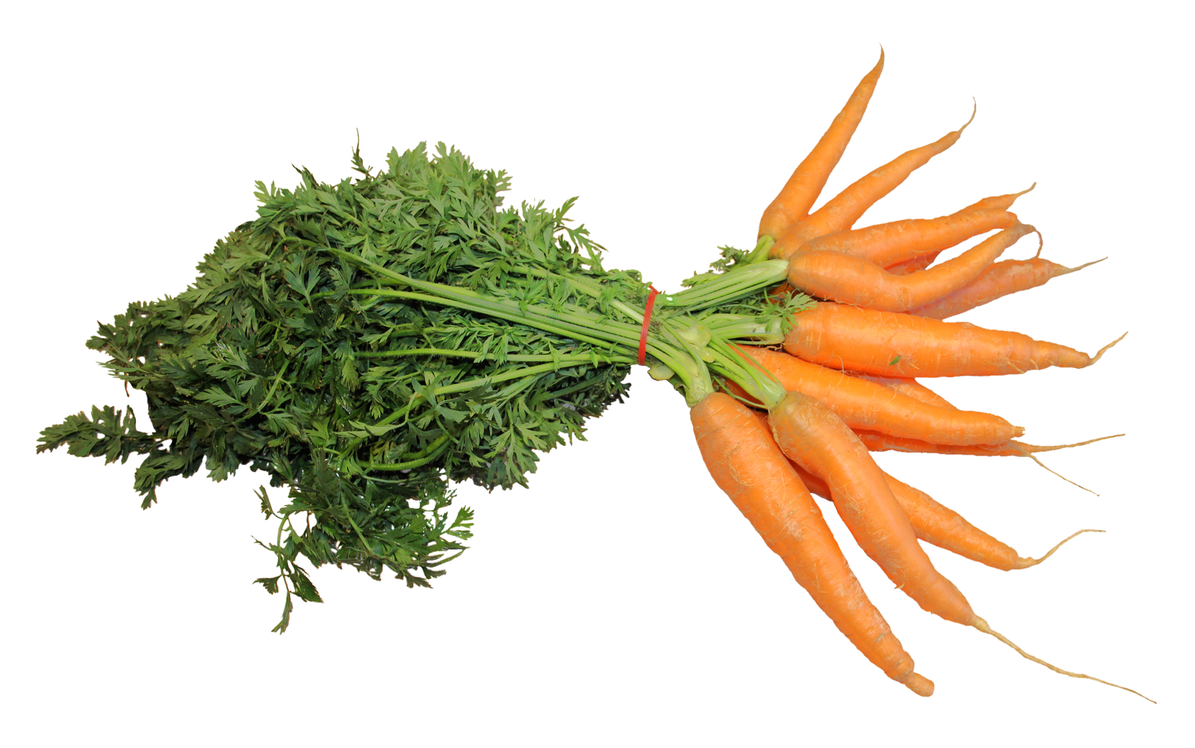 Fresh Bunchof Carrots PNG
