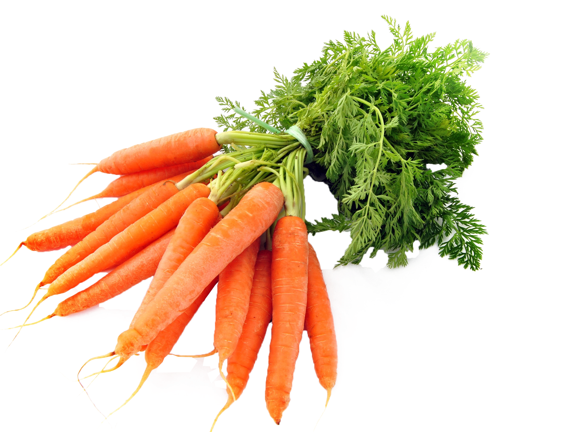 Fresh Bunchof Carrots.png PNG