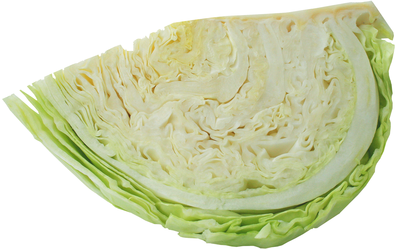 Fresh Cabbage Cut Half Transparent Background.png PNG