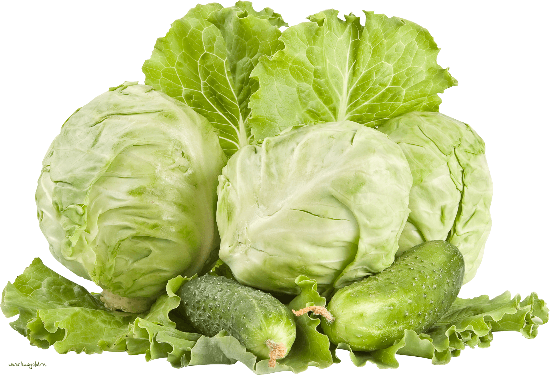 Fresh Cabbageand Cucumbers PNG