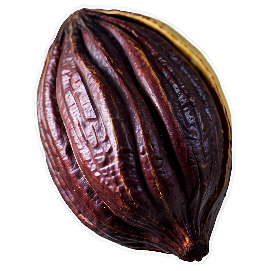 Download Fresh Cacao Pod Png Qyn21 | Wallpapers.com