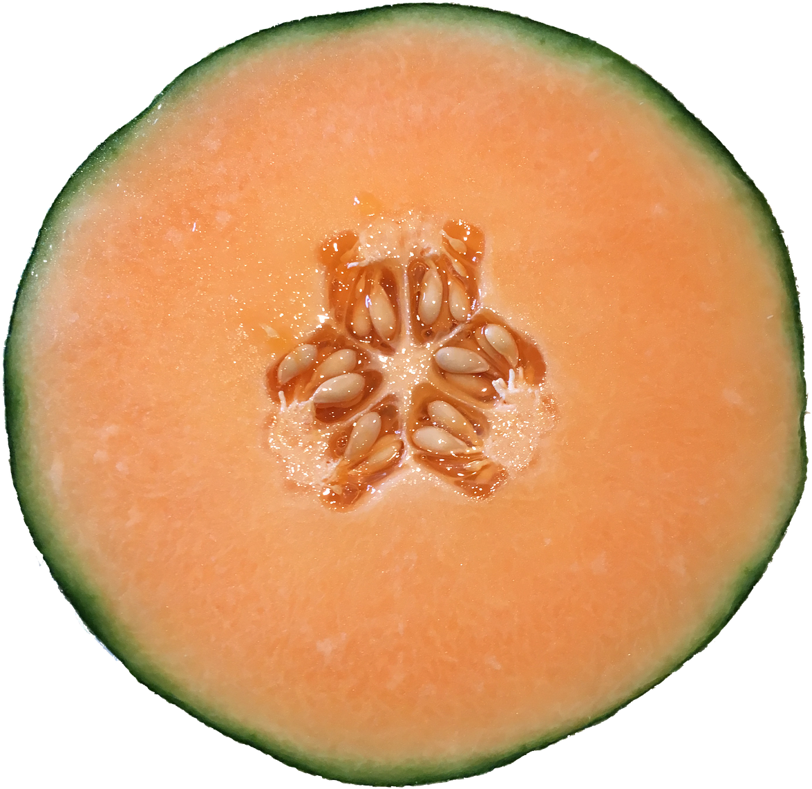 Fresh Cantaloupe Cross Section PNG
