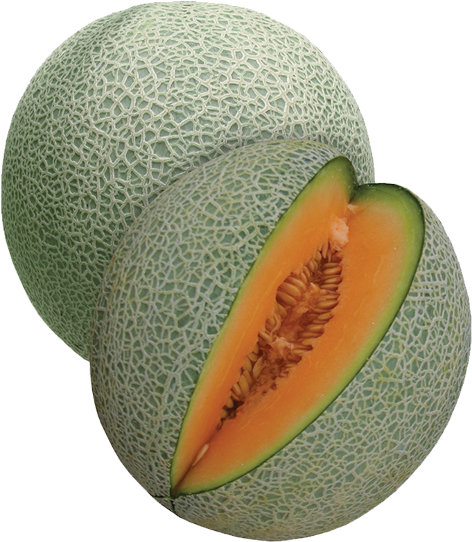 Fresh Cantaloupe Slicedand Whole PNG