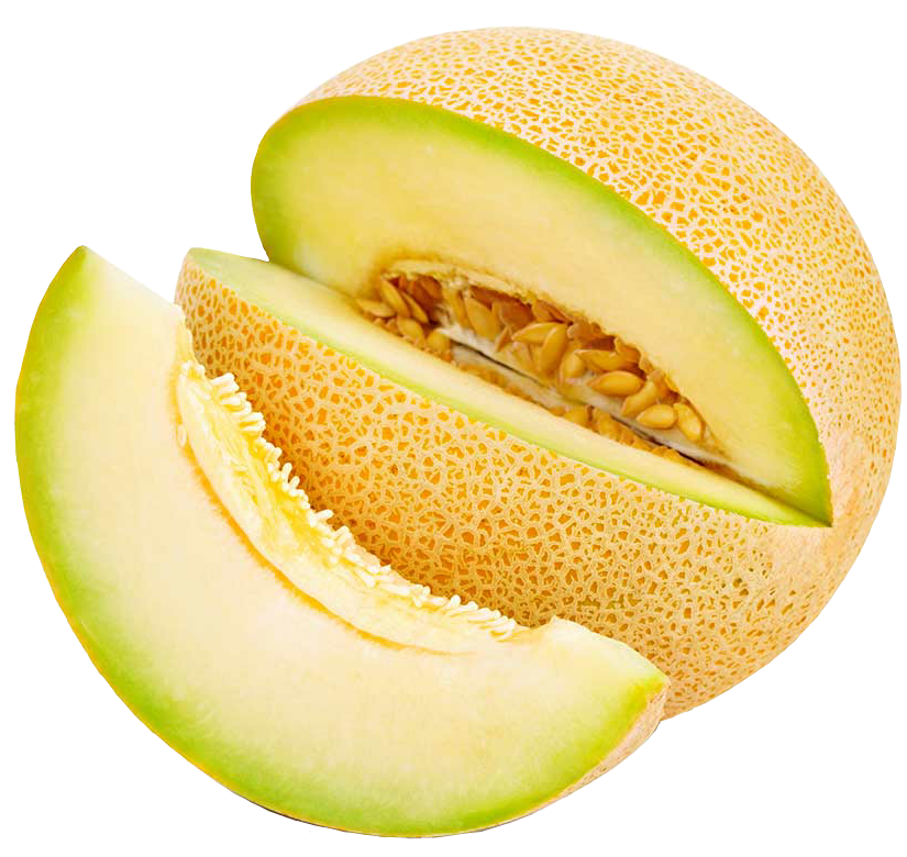 Fresh Cantaloupe Slices Isolated PNG