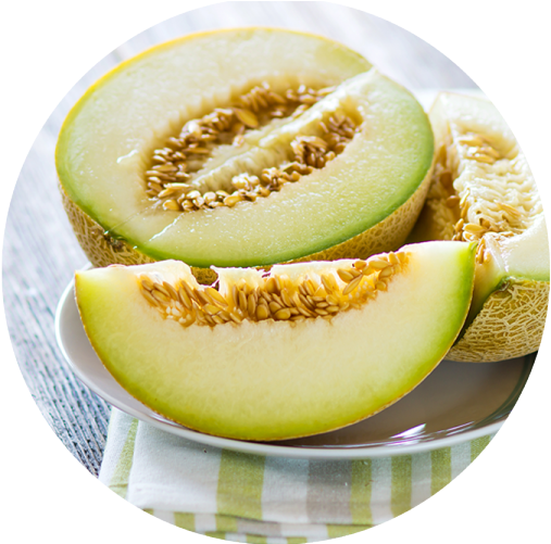 Fresh Cantaloupe Sliceson Plate PNG