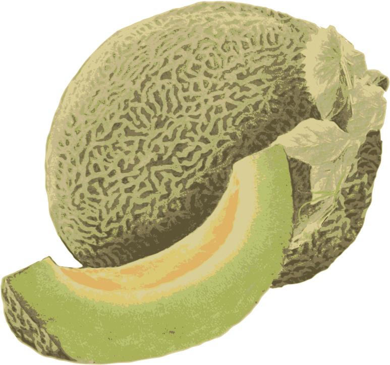 Fresh Cantaloupeand Slice Illustration PNG