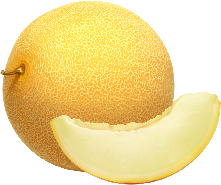 Fresh Cantaloupeand Slice.png PNG