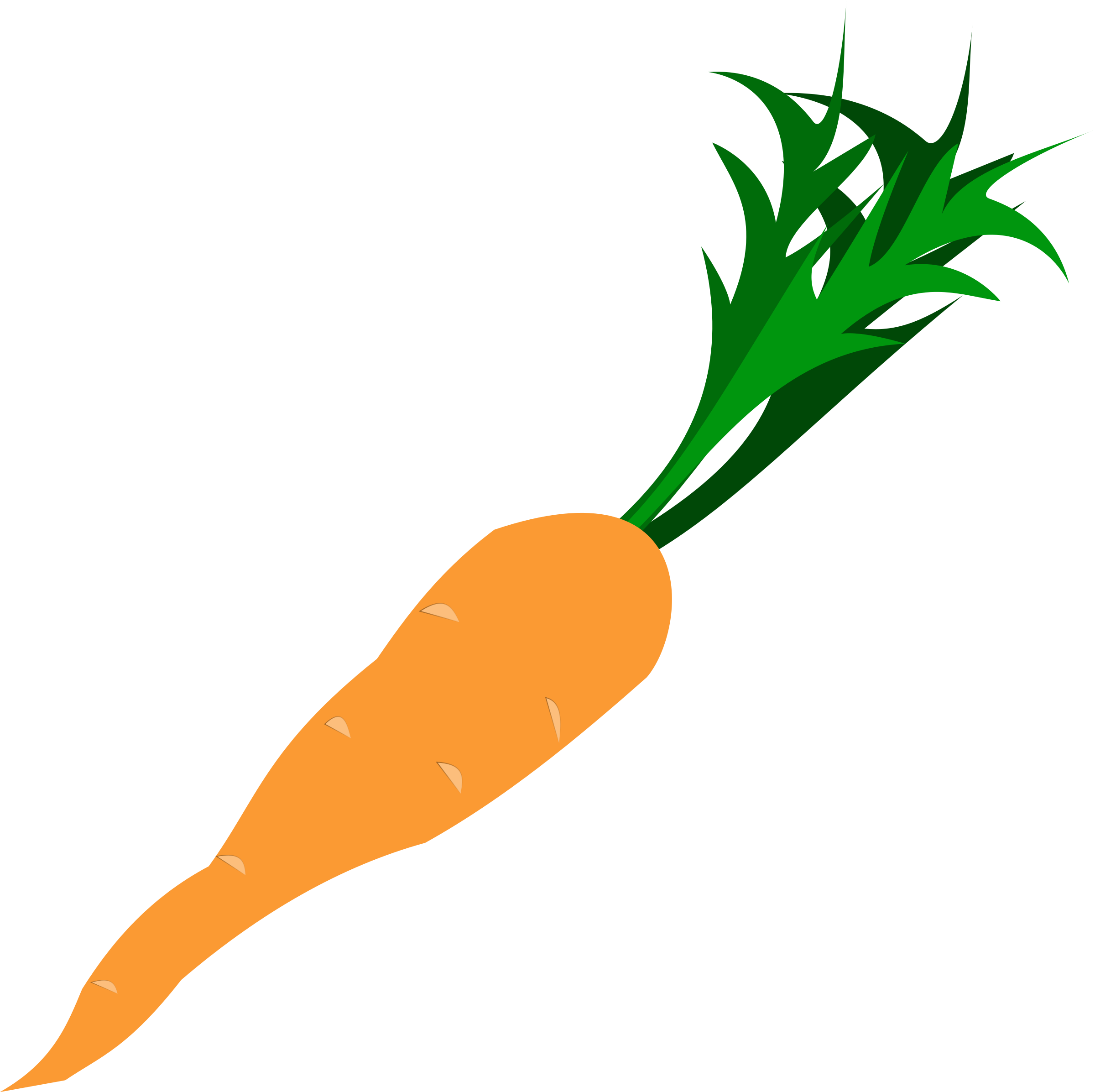 Fresh Carrot Illustration.png PNG