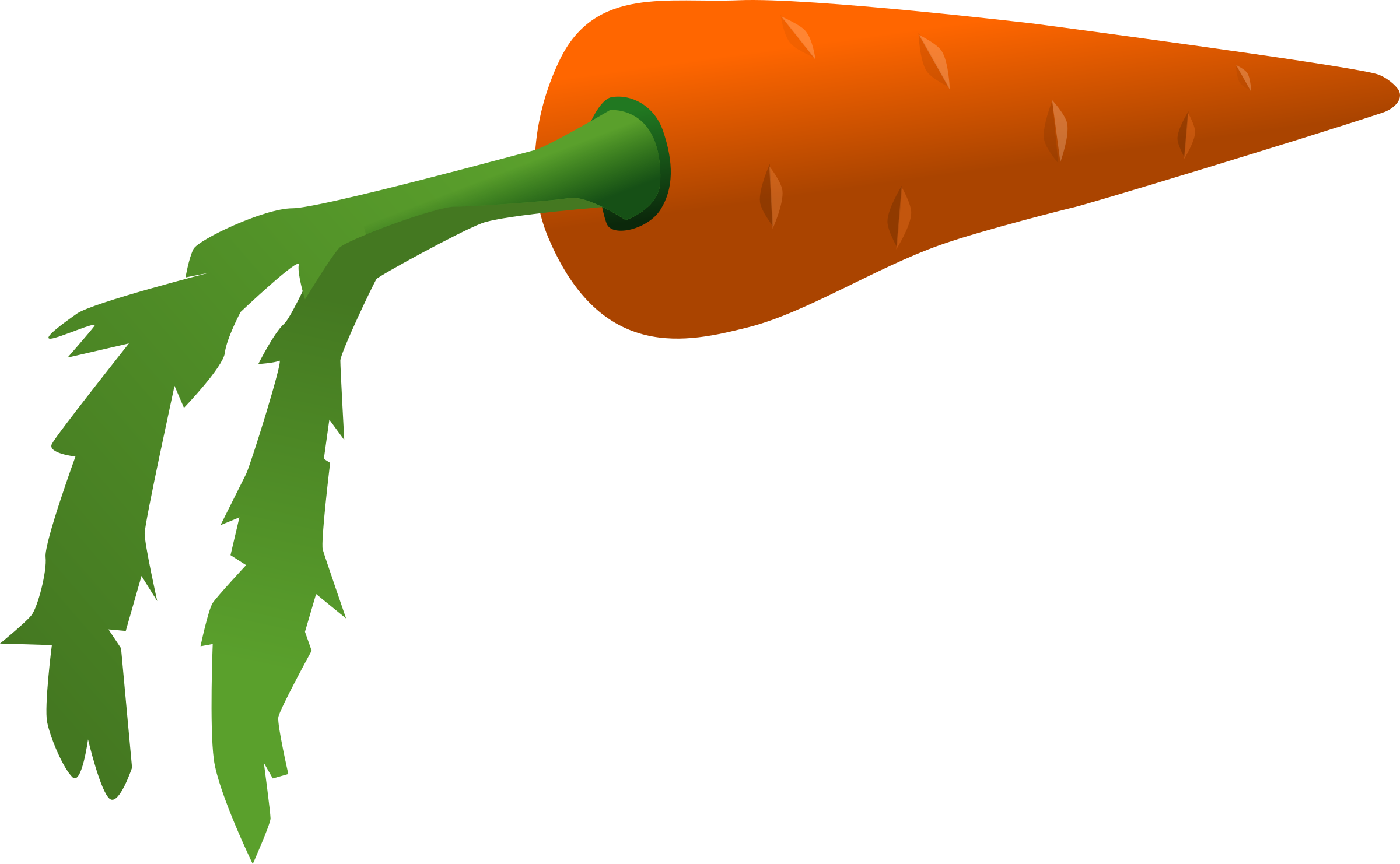 Fresh Carrot Illustration.png PNG