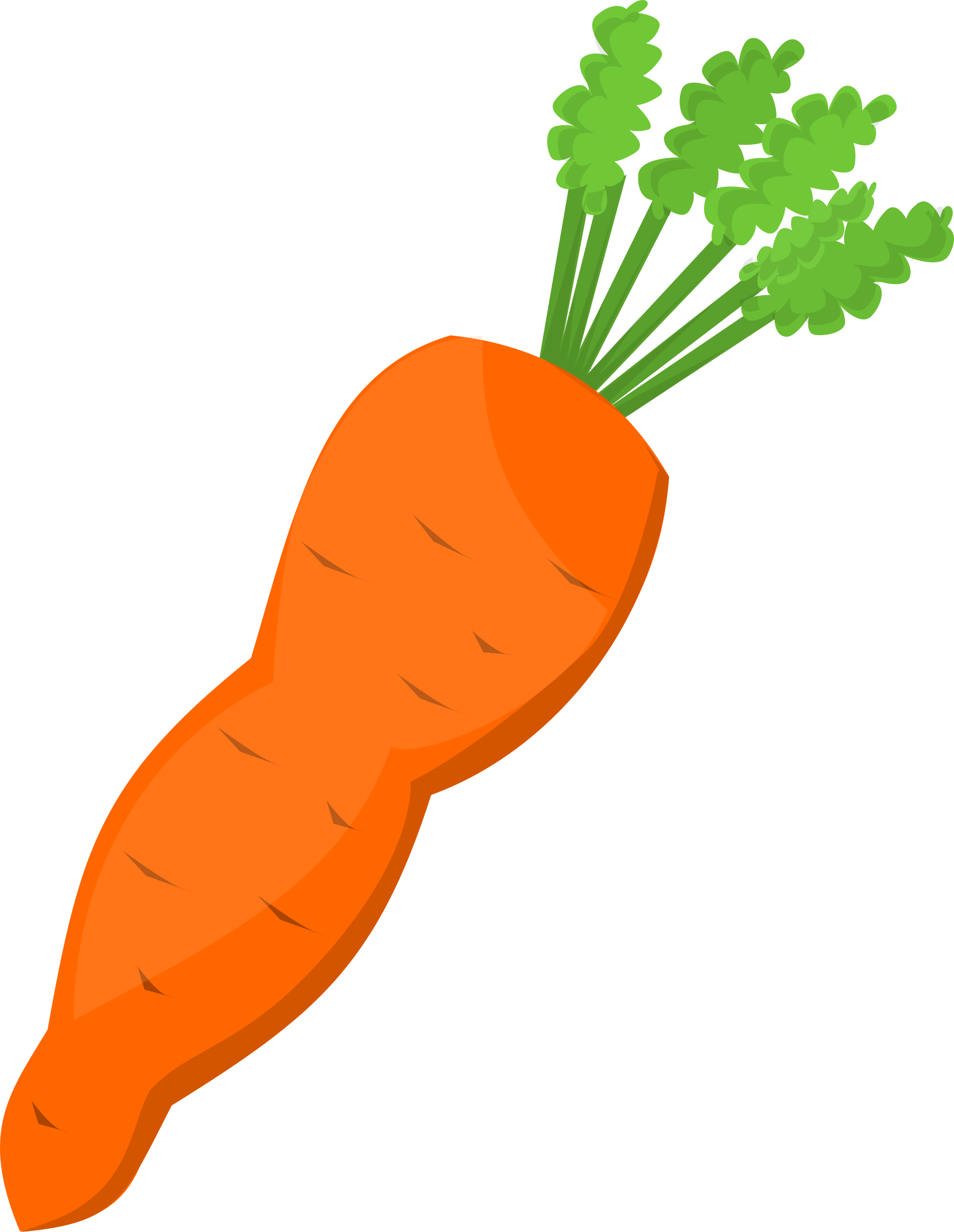 Fresh Carrot Illustration.png PNG