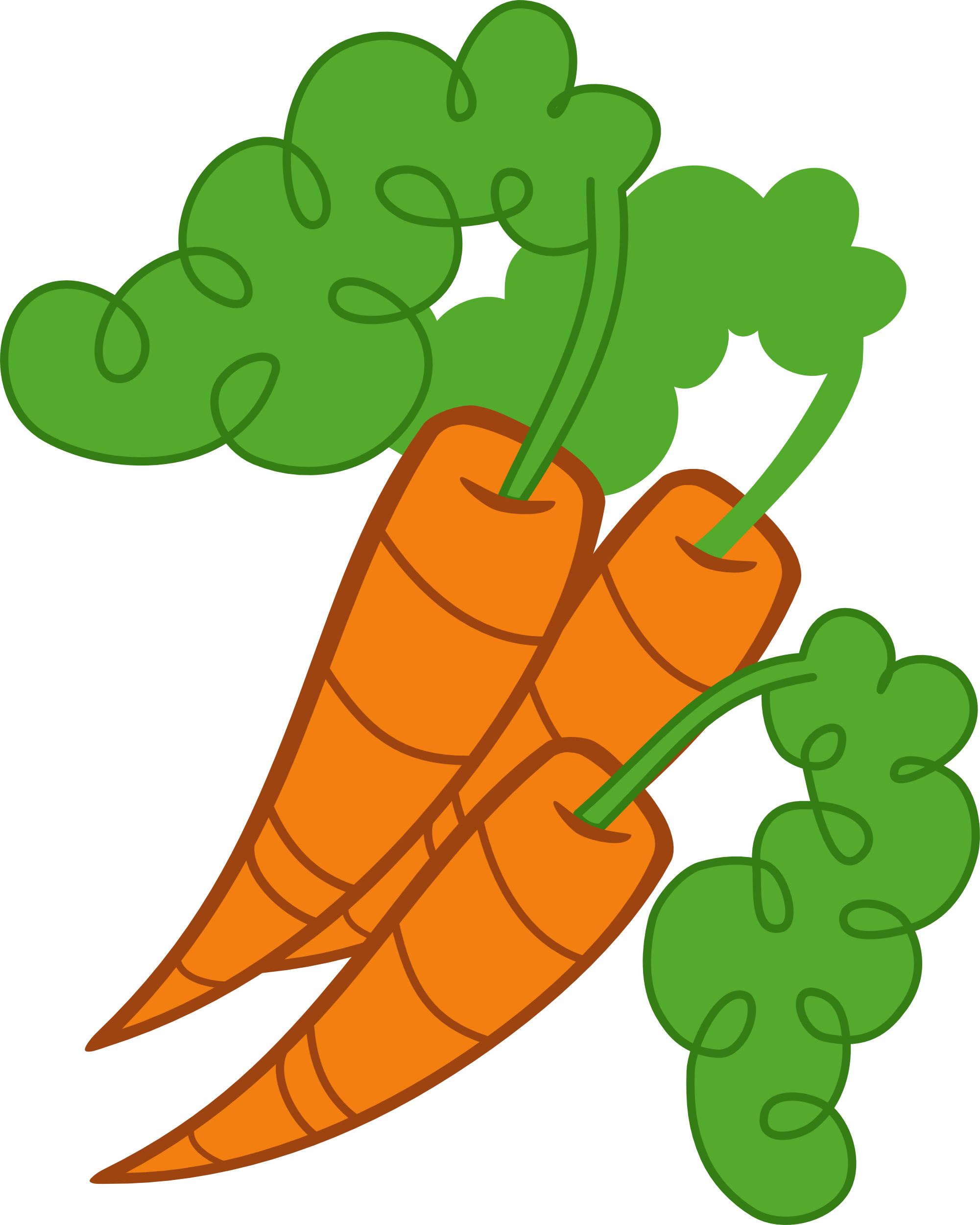 Fresh Carrot Illustration.png PNG