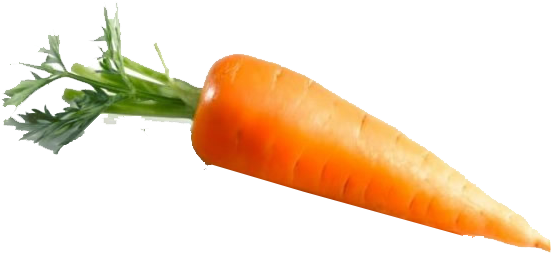 Fresh Carrot Isolated Image PNG