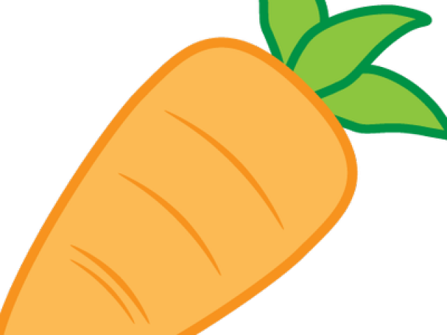 Fresh Carrot Vector Illustration PNG