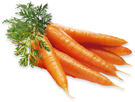 Fresh Carrots Bunch.png PNG