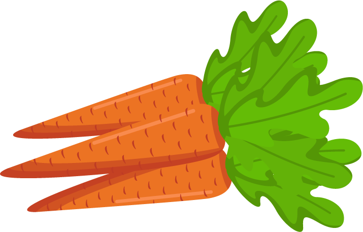 Fresh Carrots Illustration PNG